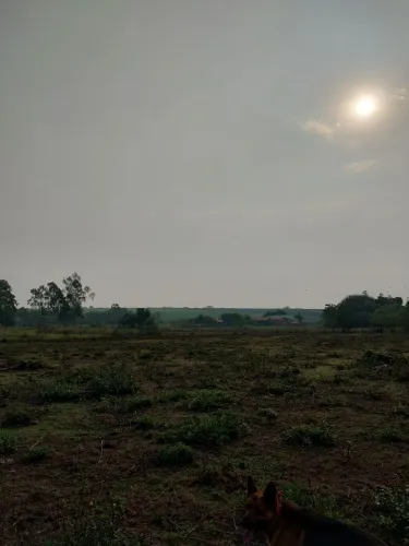 Sitio Recanto dos Pássaros