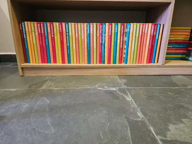 Coleção livros de Filosofia (capa dura, excelente estado, praticamente sem uso).