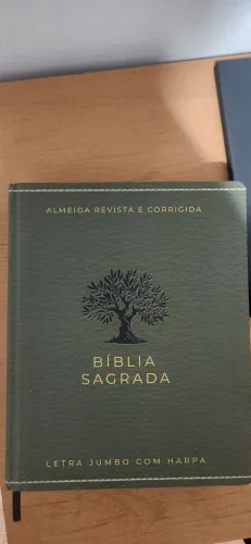 Bíblia Sagrada com Letra Grande Novo