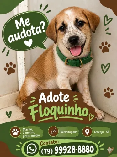 FLOQUINHO e LUNA 