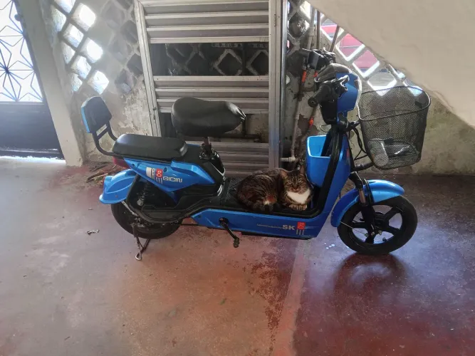 Scooter elétrica gicin sk 8 lll 500w 48v