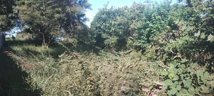 Terreno com Córrego. Uberaba MG