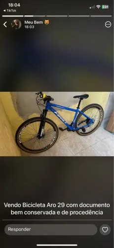 Bicicleta