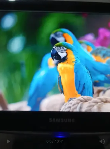 Monitor SAMSUNG 15,6"