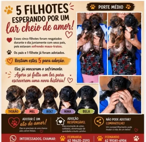 Doação