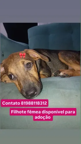Doação
