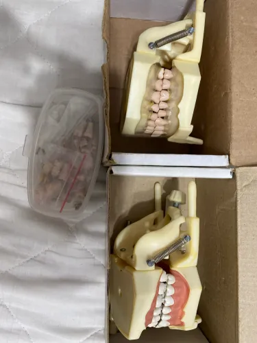 Kit manequim de perio e dentistica + dentes extras