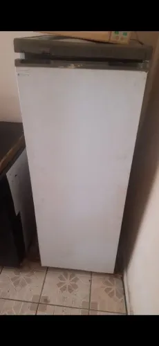 Freezer vertical