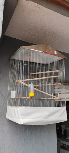 Gaiola para Calopsita, Periquito