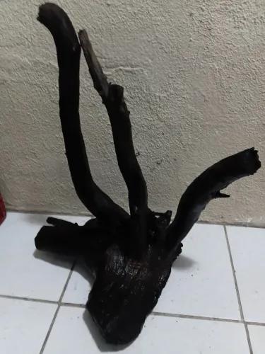 Tronco de Aquário