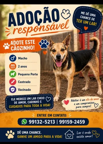 Adoção responsável 
