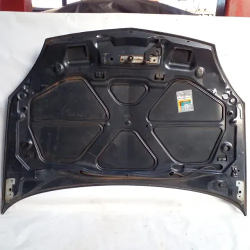 Capo Renault Clio 2005/2012 com detalhe