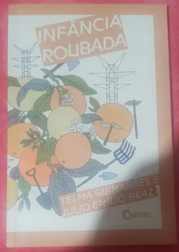 Paradidático Identidade Roubada