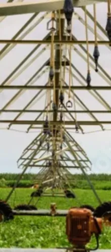 Busco fazenda 10.000 Hectares,Pra montar pivô Região Manga ,Matias Cardoso..