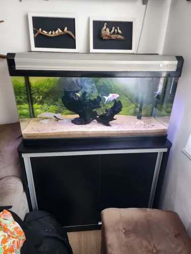 Aquario Boyu EA 100