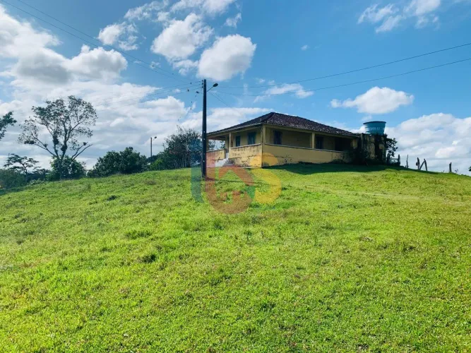 Vendo fazenda com 17 hectares em ótima localização