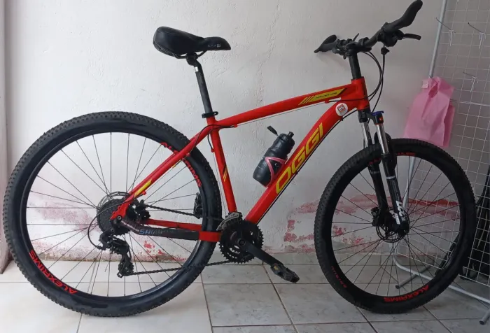 Bike Oggi Hacker HDS Aro 29