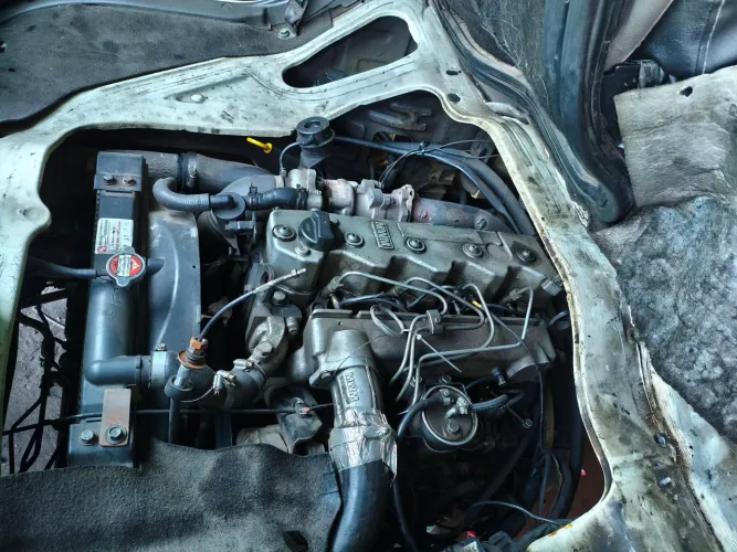 Motor MWM Sprint