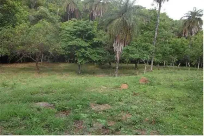 Fazendinha 6,5ha, riacho nos fundos, agua por gravidade, Serra do Cipó.