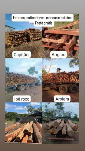 Madeira Angico, Capitão, Ipê Roxo e Aroeira