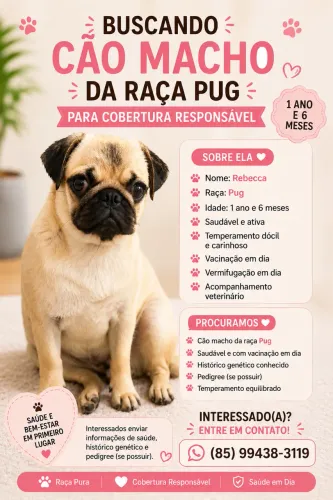 PUG PARA COBERTURA 