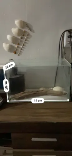 Aquário e bomba 