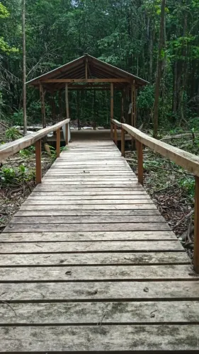 Vendo sitio 10.000 m2 com igarape