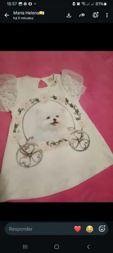 Vestido infantil