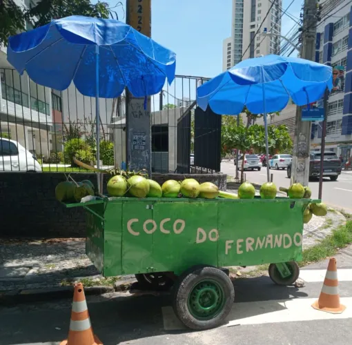 Carroça de côco completa