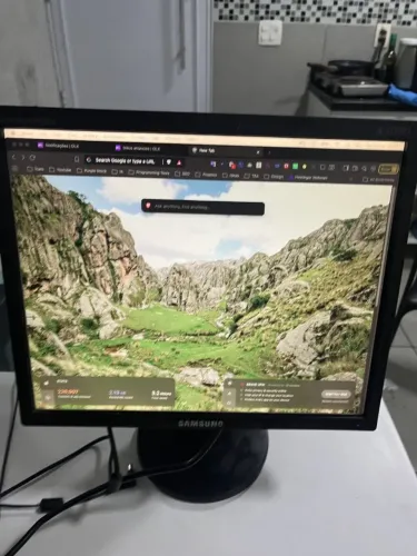 Monitor Samsung 743B 17" (com base)