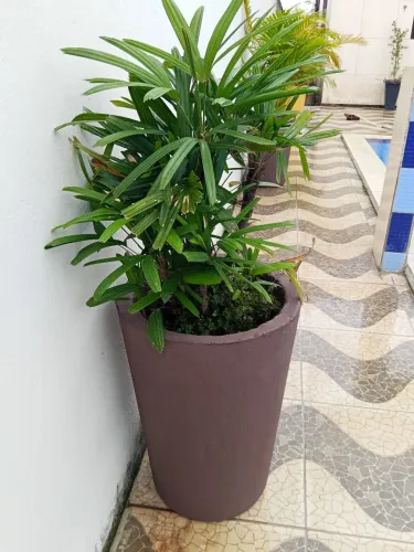 Vendo vasos de cimento de Alta resistência várias cores altura 60 cm, observação só o vaso