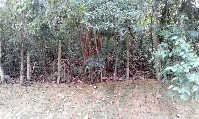 Granja Carneiro Viana - Terreno à venda na Granja Viana