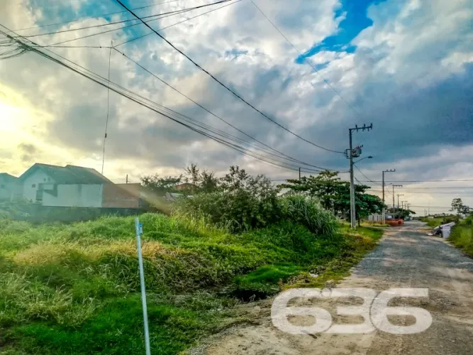 Terreno | São Francisco do Sul | Ubatuba