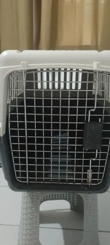 Caixa Transporte Pet