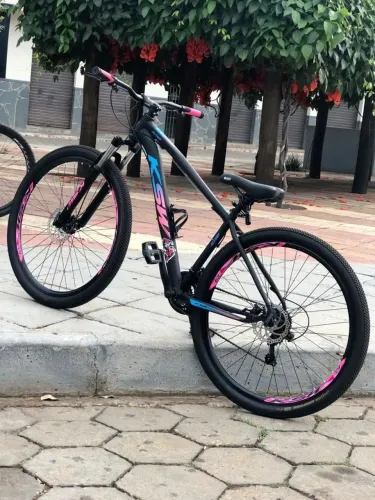 Bicicleta aro 29