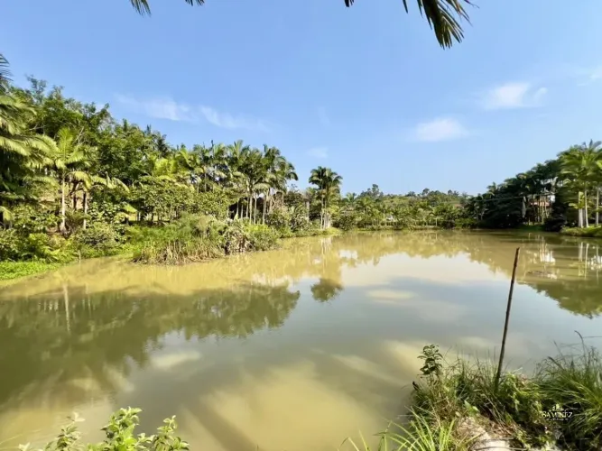 Oportunidade | Sítio com Lago e Fonte Mineral em Ilhota/SC
