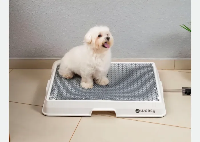 Banheiro Pet - Medio 