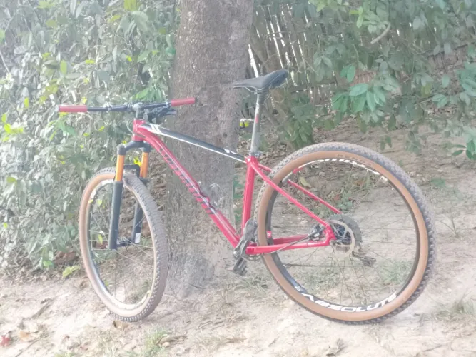 Bike aro 29