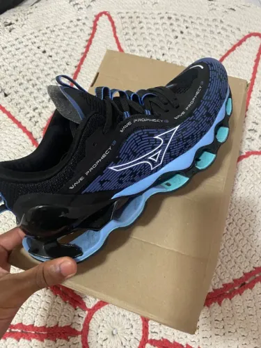 Mizuno prophecy 13
