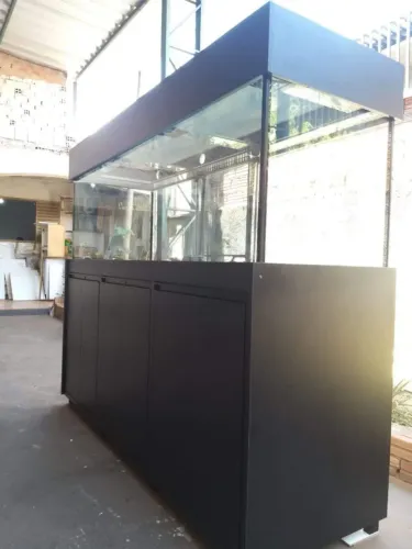 Aquario jumbo