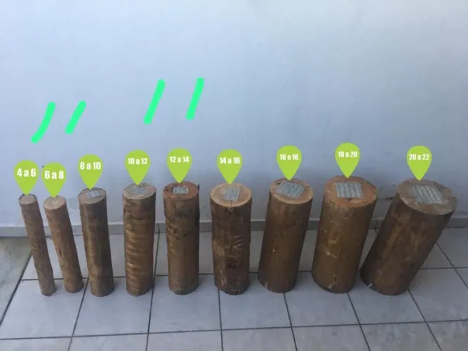 EUCALIPTO TRATADO