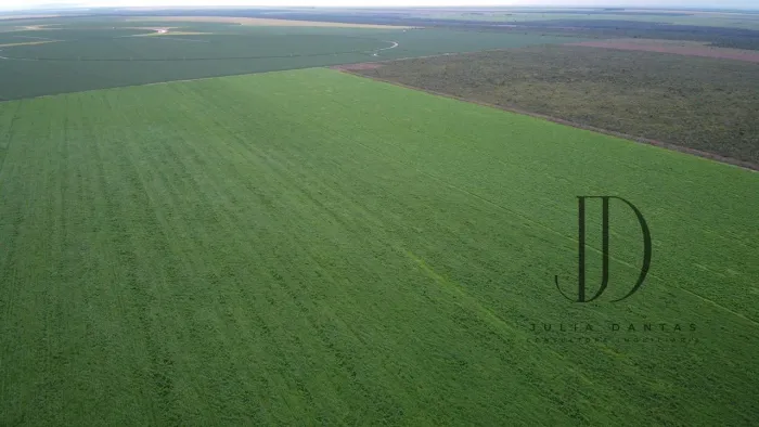 Fazenda à Venda em São Desidério - BA: Oportunidade Estratégica para Expansão com Irrigaçã
