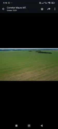 Fazenda 4.050hec em Matupá MT. 2.150 abertos, planta hoje 1.700 hec. R$:2.200.000 sacas