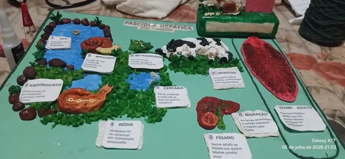Artes em biskuit