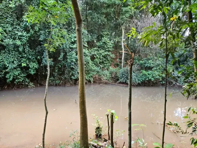 Oportunidade! Chácara 20.000 m² em Nova Concórdia (10 km de Toledo)