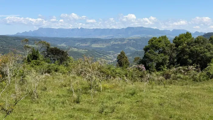 Imóvel para venda tem 24000 metros quadrados em Boa Vista - Rancho Queimado - SC