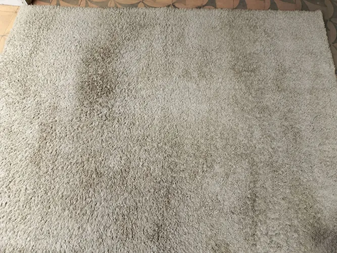 Uma Oportunidade para sua Casa ou Apto.