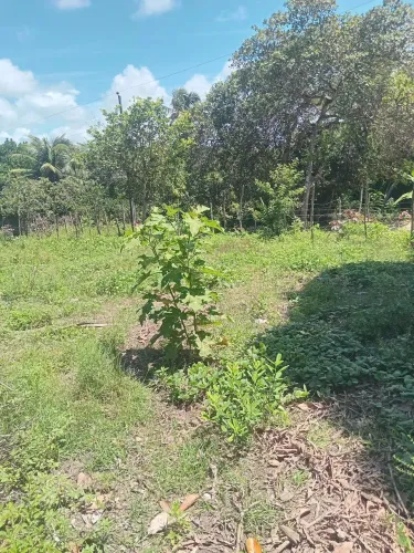 Terreno em itamaraca 