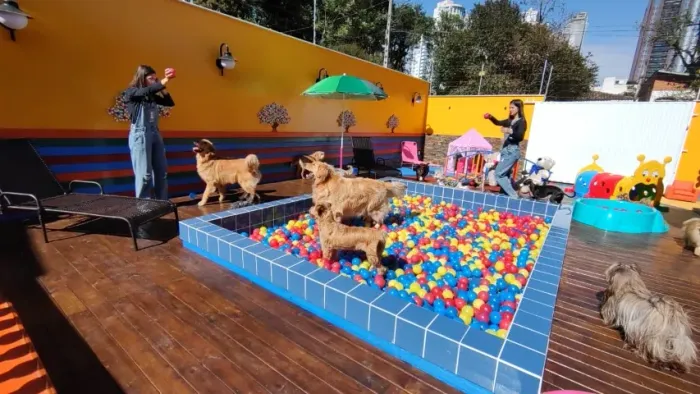 Aux Recreadora Pet - Sala de banho