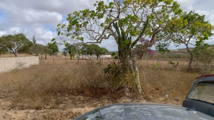 Terreno Em São José (Distrito de Maria Quitéria,Feira de Santana)